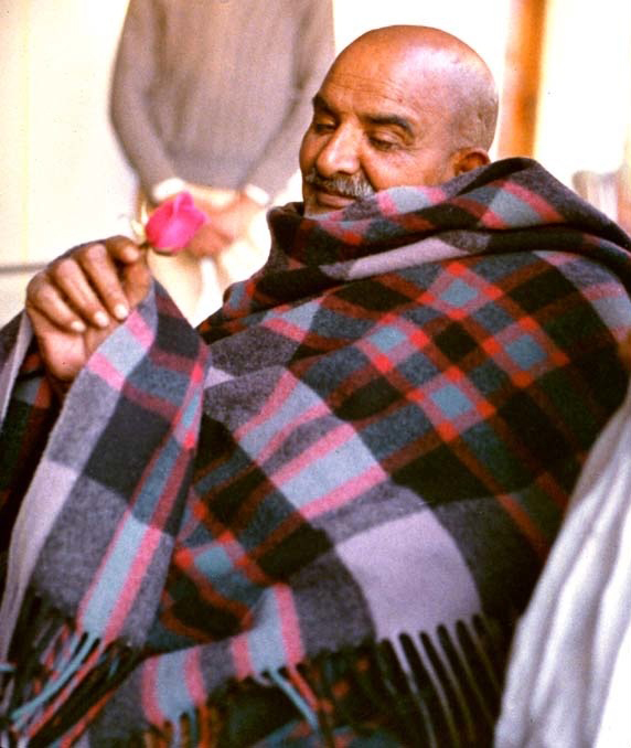 Maharaj-ji holding a rose, wrapped in his blanket